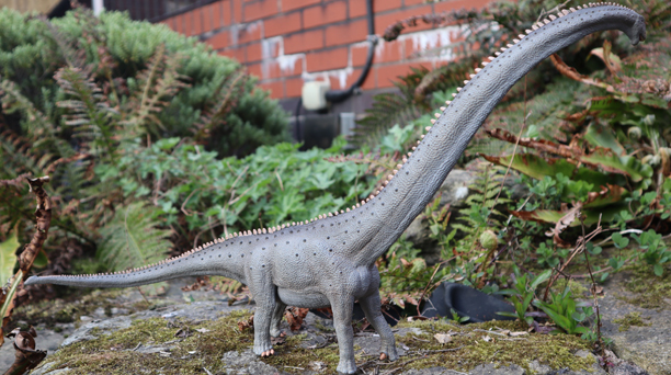 The CollectA Mamenchisaurus Sauropod Figure