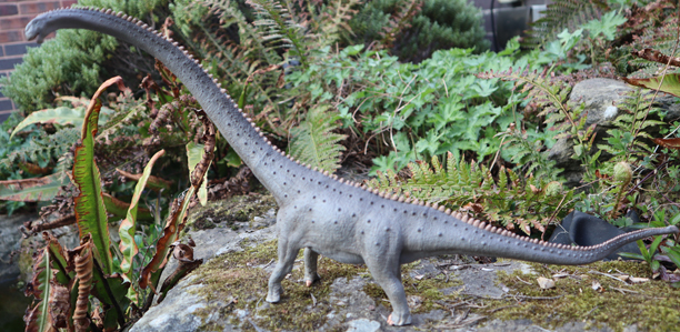 CollectA Deluxe Mamenchisaurus Model