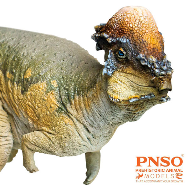 PNSO Austin the Pachycephalosaurus dinosaur model