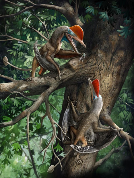 Kunpengopterus life reconstruction
