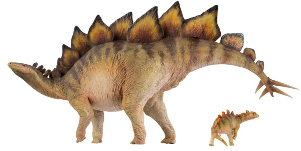 PNSO Stegosaurus models (Biber and Rook) in lateral view