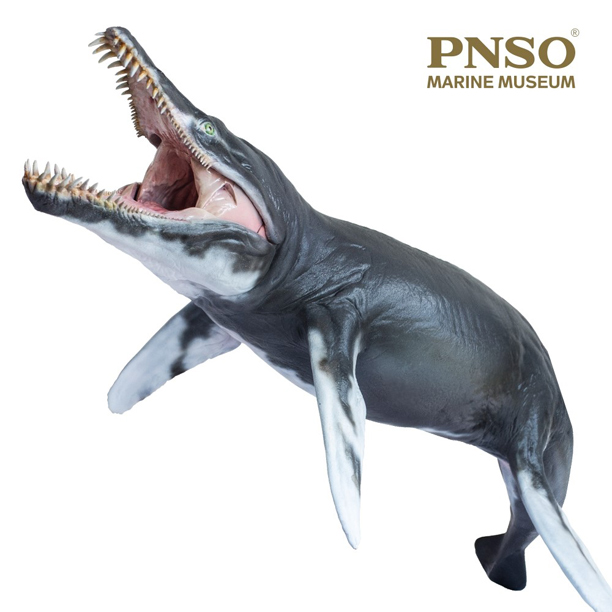 Coming in for the attack, the PNSO Kronosaurus marine reptile model.