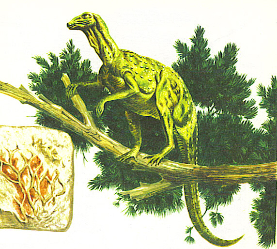 Hypsilophodon in a Tree