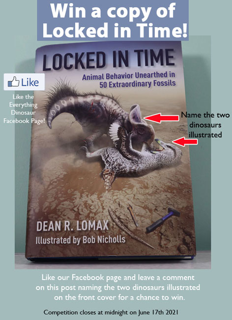 Win a copy of "Locked in Time"