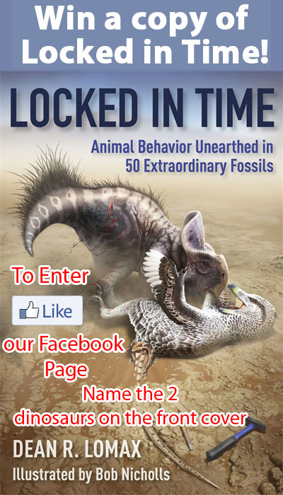 Win a copy of the fantastic book "Locked in time"