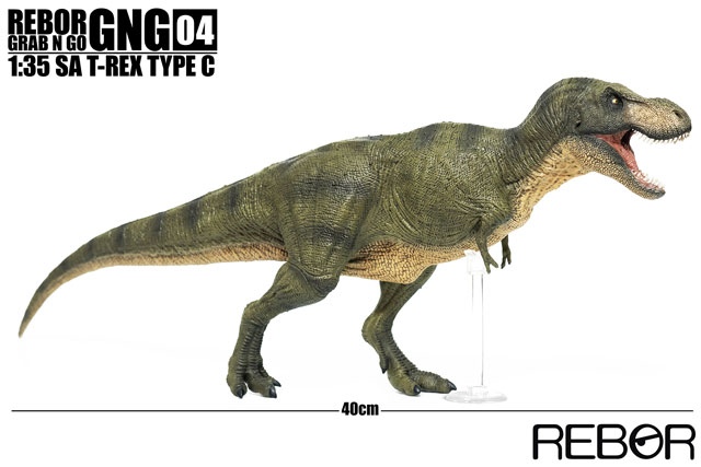 The Rebor GNG04 1:35 scale SA T. rex Type C