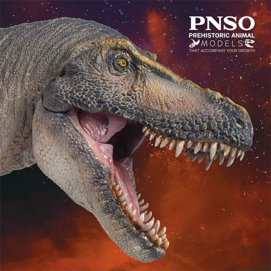 PNSO Chuanzi the Tarbosaurus dinosaur model (view of the head)