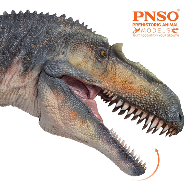 The PNSO Torvosaurus has an articulated jaw