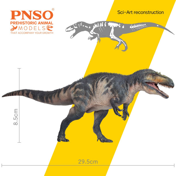 PNSO Connor the Torvosaurus dinosaur model (measurements).