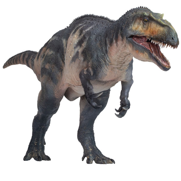 PNSO Connor the Torvosaurus