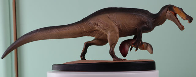 Irritator challengeri dinosaur model on the Everything Dinosaur turntable