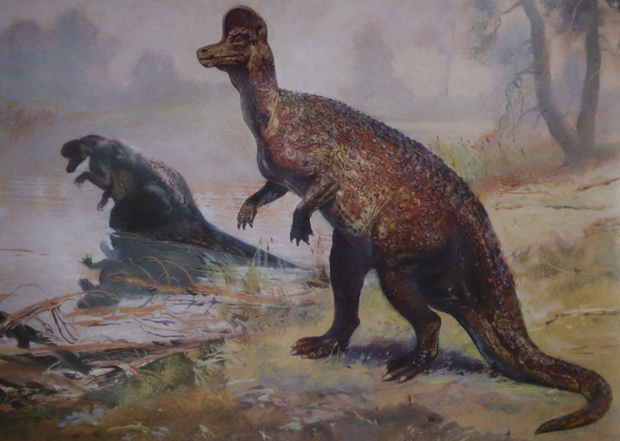 Burian's Corythosaurus illustration.