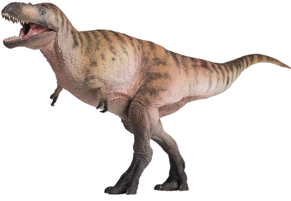 PNSO Nanotyrannus dinosaur model.