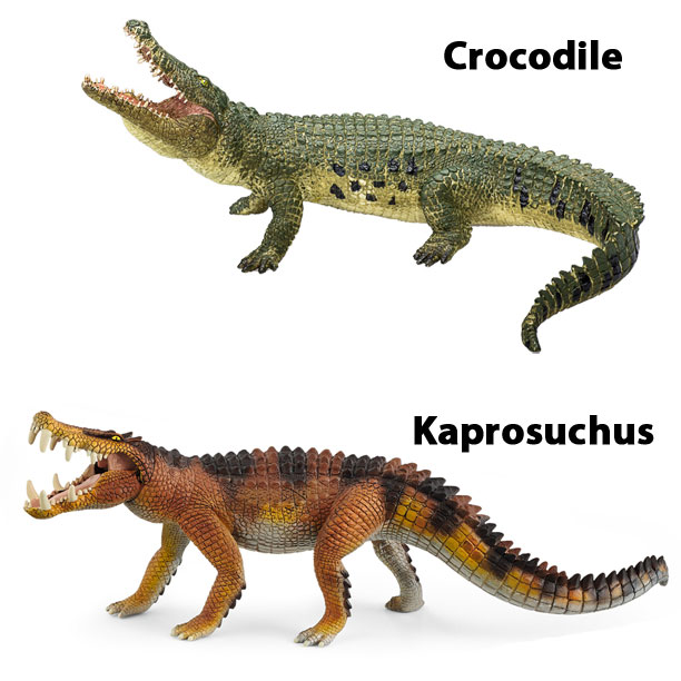 Modern crocodile compared to Kaprosuchus
