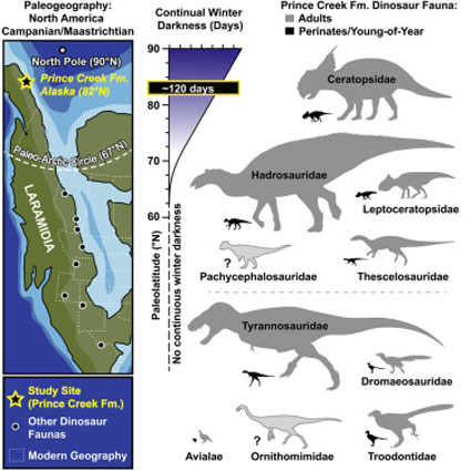 dinosaurs nested in the Arctic