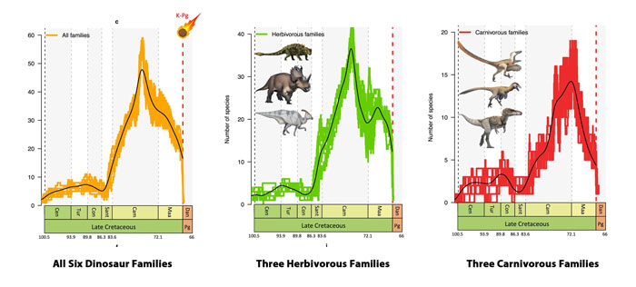 End Cretaceous speciation versus extinction in the non-avian dinosaurs.