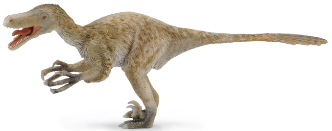 CollectA Deluxe 1:6 scale Velociraptor model.