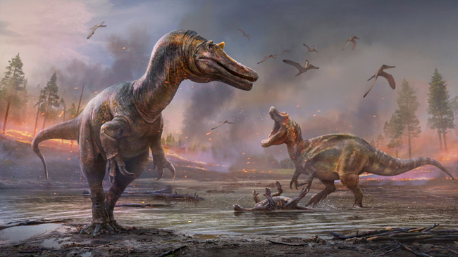 Two new Isle of Wight spinosaurs