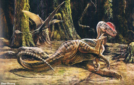 Dilophosaurus sinensis (Sinosaurus triassicus) life reconstruction