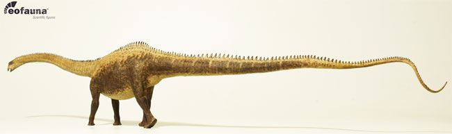 Eofauna Diplodocus dinosaur model.