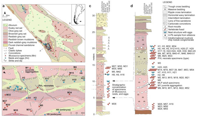 Map and stratigraphic section of the Laguna Colorada type locality.