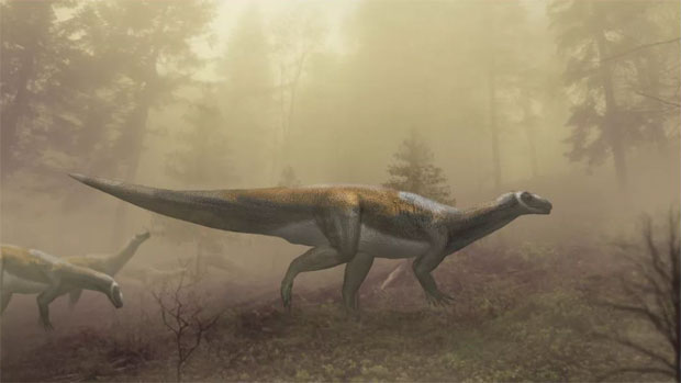 Late Triassic sauropodomorph life reconstruction