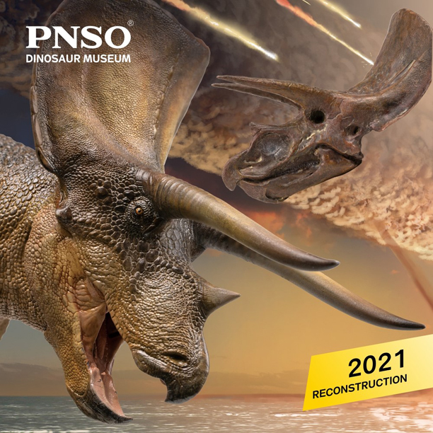 PNSO Doyle the Triceratops dinosaur model.