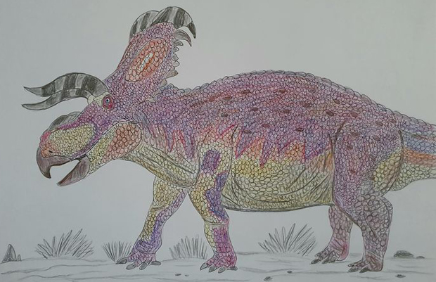 An illustration of Medusaceratops