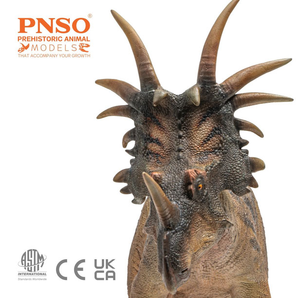 PNSO Anthony the Styracosaurus (anterior view)
