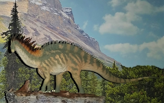 PNSO Amargasaurus model on display