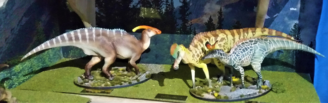 PNSO hadrosaur models on display.