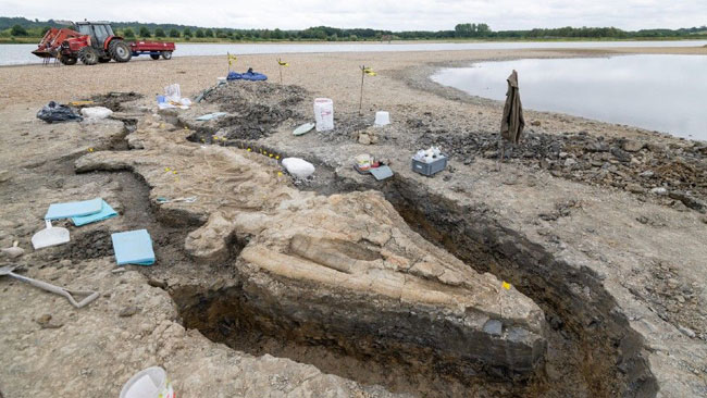 The Rutland sea dragon excavation