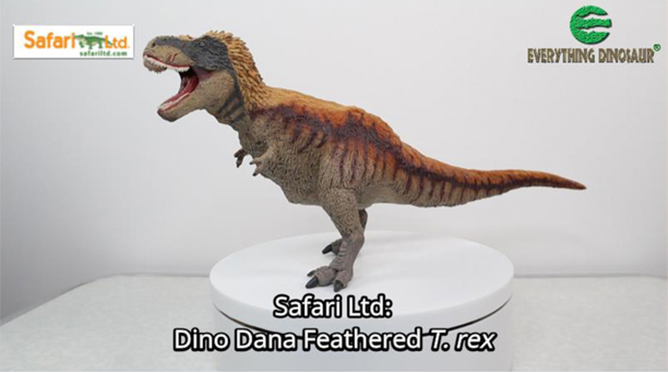 Dino Dana feathered T. rex video showcase.