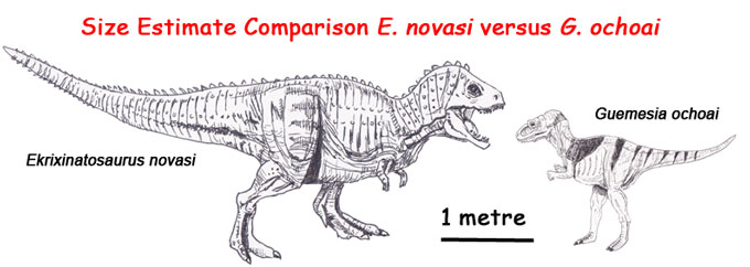 Abelisaurid size comparison.