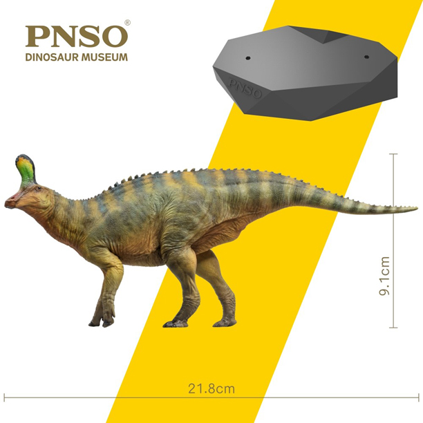 PNSO Xiaoqin the Tsintaosaurus model measurements.