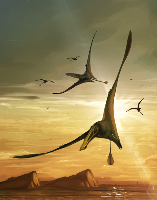 Skye pterosaur artwork