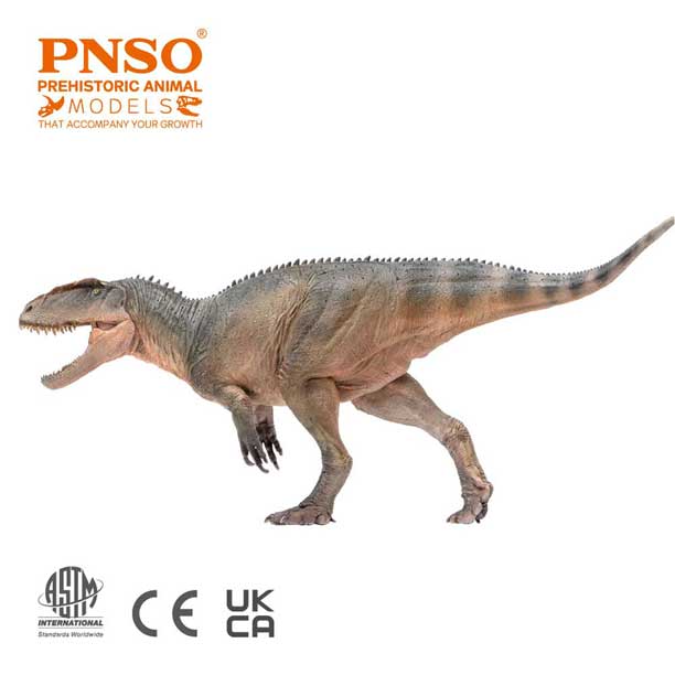 PNSO Sinraptor dinosaur model