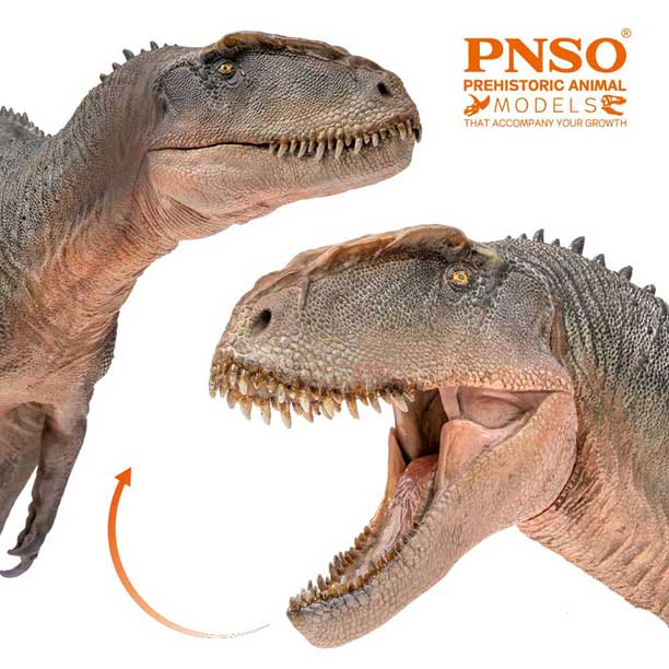 PNSO Xinchuan Sinraptor model has an articulated lower jaw.