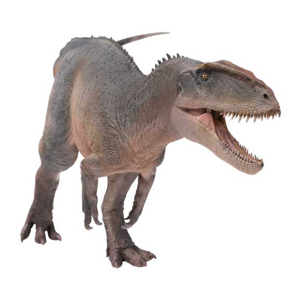 PNSO Sinraptor dinosaur model