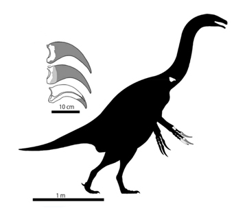 Paralitherizinosaurus silhouette