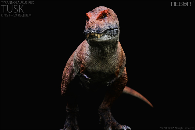 Rebor Tyrannosaurus rex TUSK King T. rex requiem