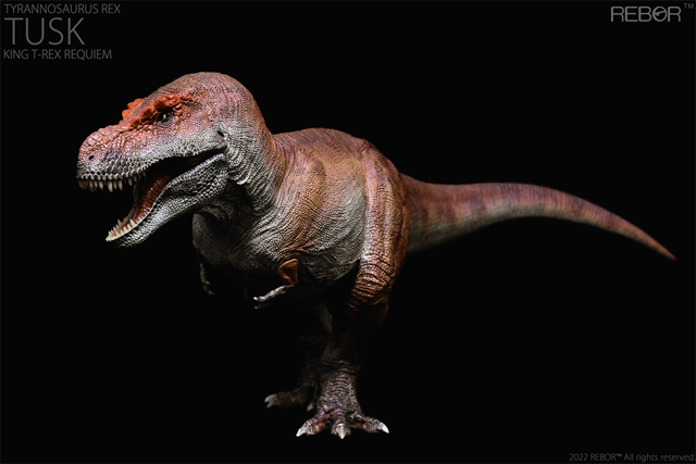 Rebor Tyrannosaurus rex "TUSK" King T-REX Requiem