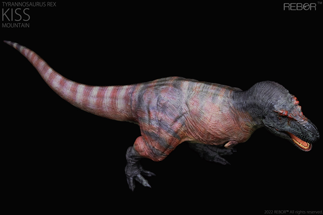 Rebor "Kiss" T. rex in the mountain colour scheme (dorsal view).