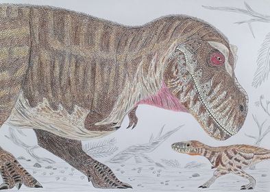Caldey draws a Tyrannosaurus rex.