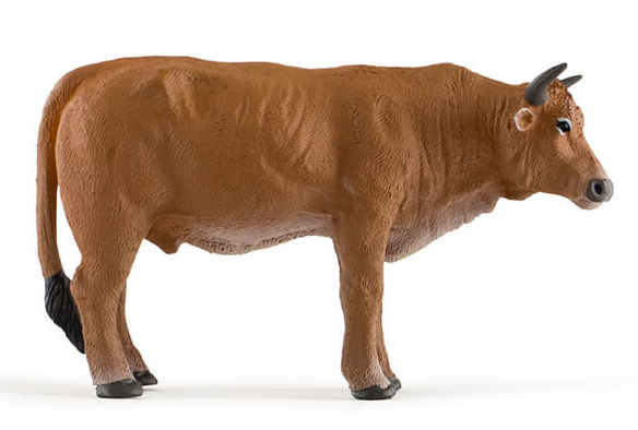 A model of a cow.