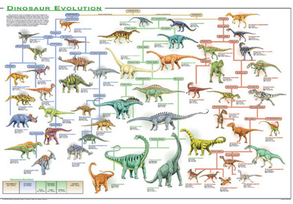 Dinosaur Evolution Poster Tracing The Dinosaur Family Tree A
